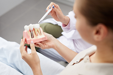 A dental hygienist holding a model of a mouth with a toothbrush, demonstrating oral care techniques.